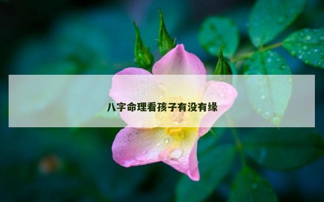 八字命理看孩子有没有缘
