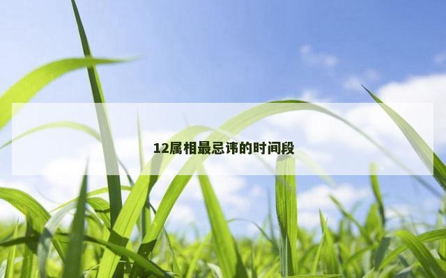 12属相最忌讳的时间段