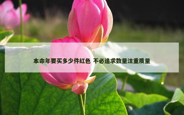 本命年要买多少件红色 不必追求数量注重质量