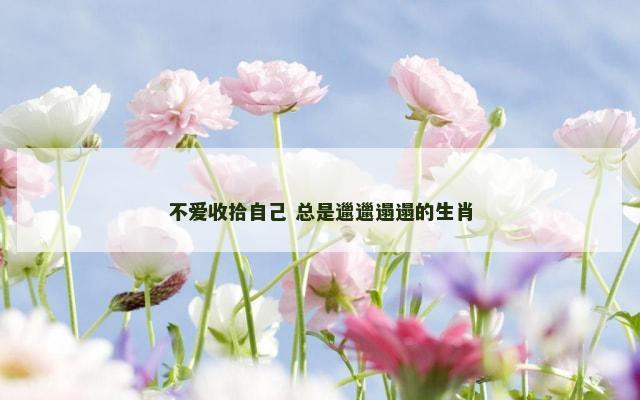 不爱收拾自己 总是邋邋遢遢的生肖