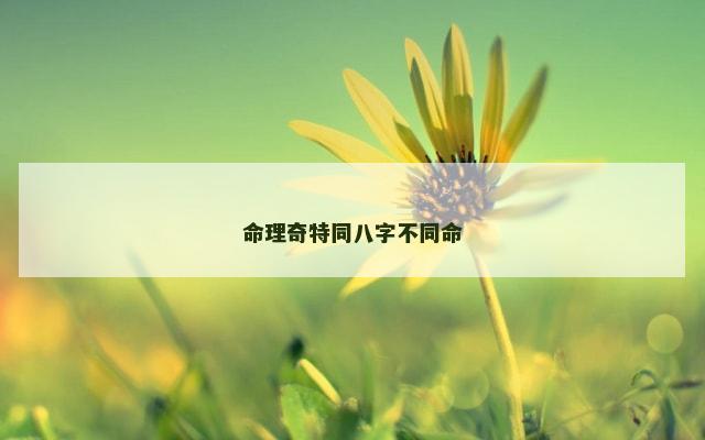 命理奇特同八字不同命