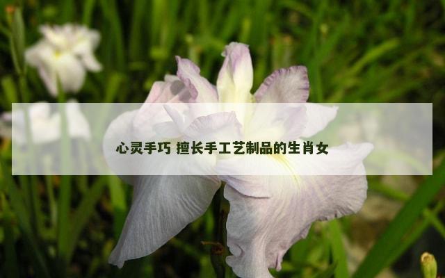心灵手巧 擅长手工艺制品的生肖女