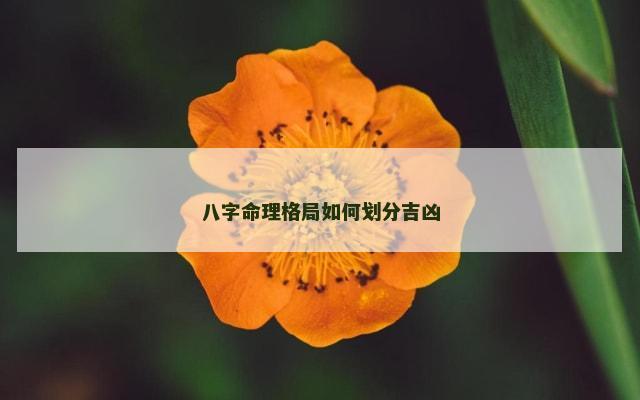 八字命理格局如何划分吉凶