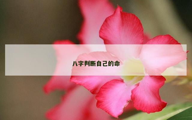 八字判断自己的命