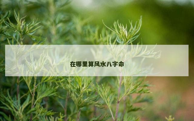 在哪里算风水八字命