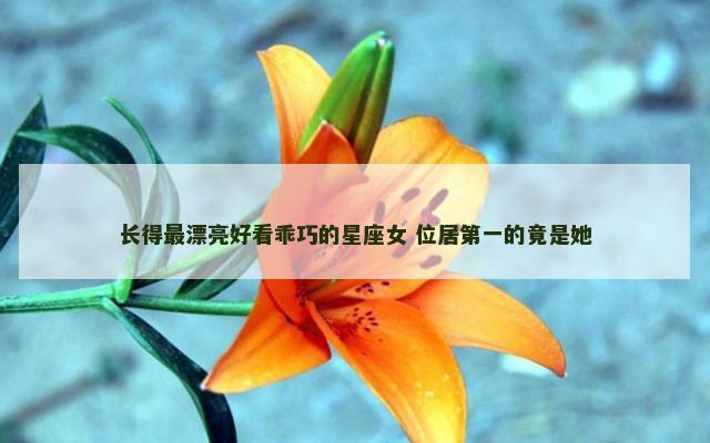 长得最漂亮好看乖巧的星座女 位居第一的竟是她