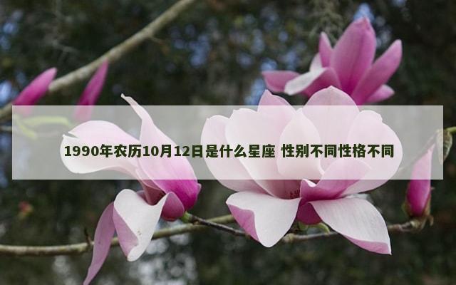 1990年农历10月12日是什么星座 性别不同性格不同