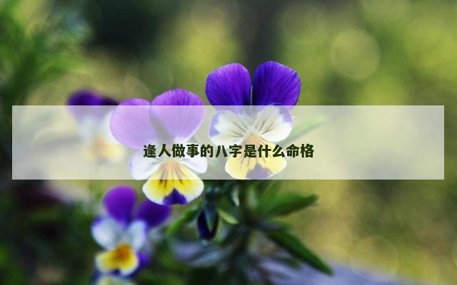 逢人做事的八字是什么命格
