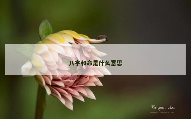 八字和命是什么意思