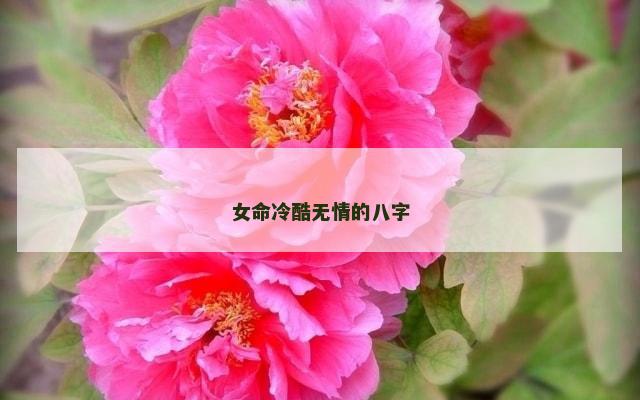 女命冷酷无情的八字
