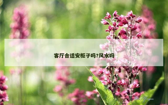 客厅合适安柜子吗?风水吗