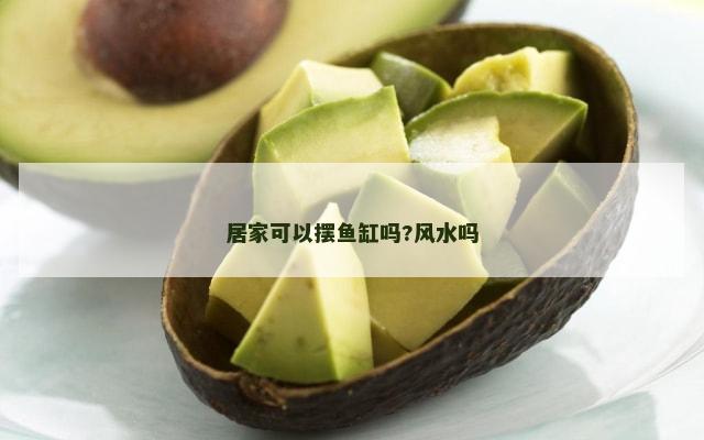 居家可以摆鱼缸吗?风水吗