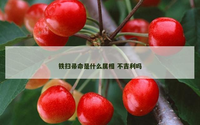 铁扫帚命是什么属相 不吉利吗