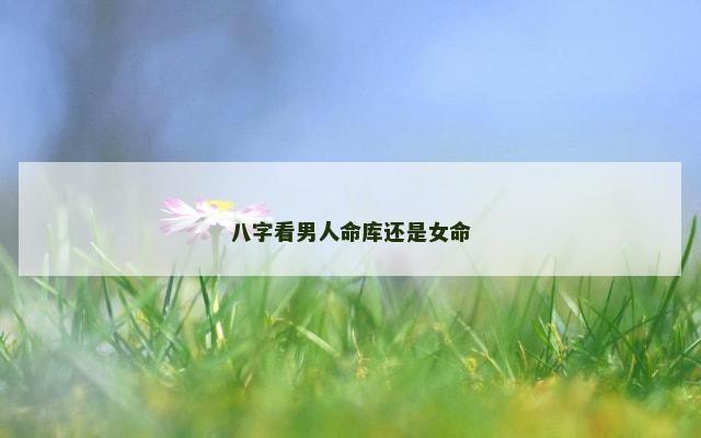 八字看男人命库还是女命