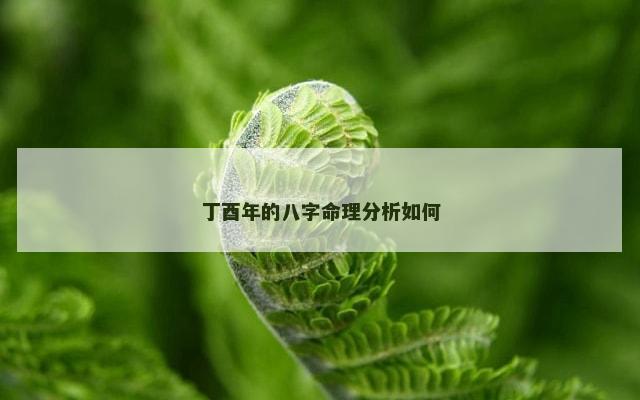 丁酉年的八字命理分析如何
