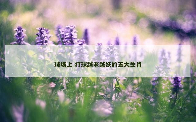 球场上 打球越老越妖的五大生肖