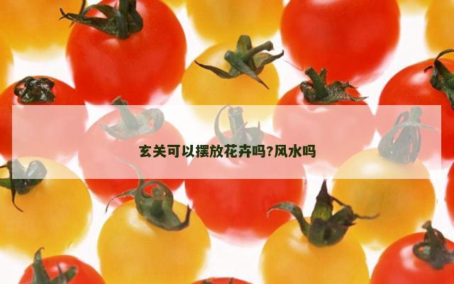 玄关可以摆放花卉吗?风水吗