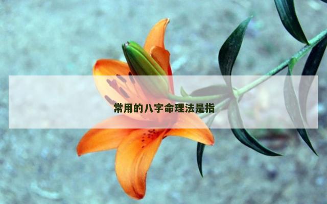 常用的八字命理法是指
