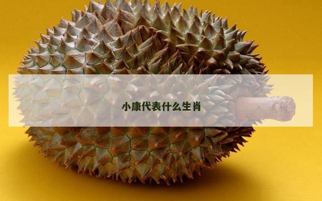 小康代表什么生肖