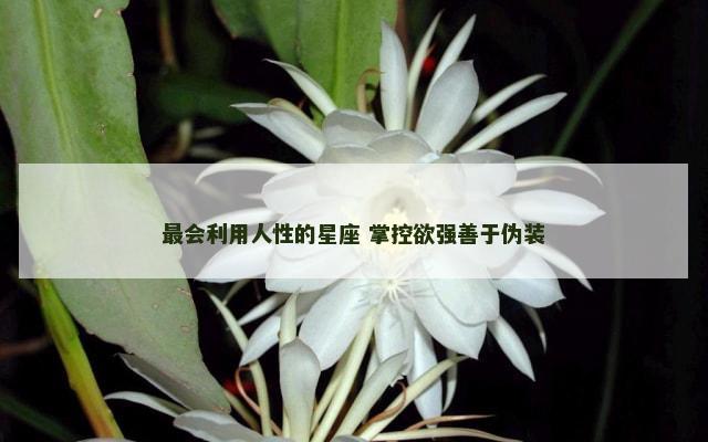 最会利用人性的星座 掌控欲强善于伪装