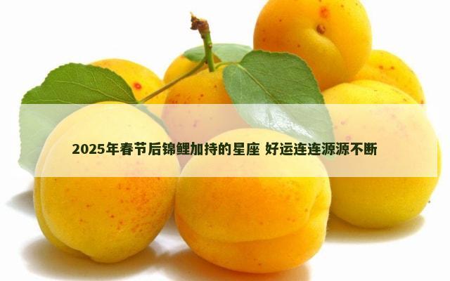 2025年春节后锦鲤加持的星座 好运连连源源不断