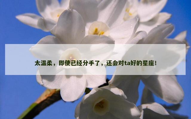 太温柔，即使已经分手了，还会对ta好的星座！