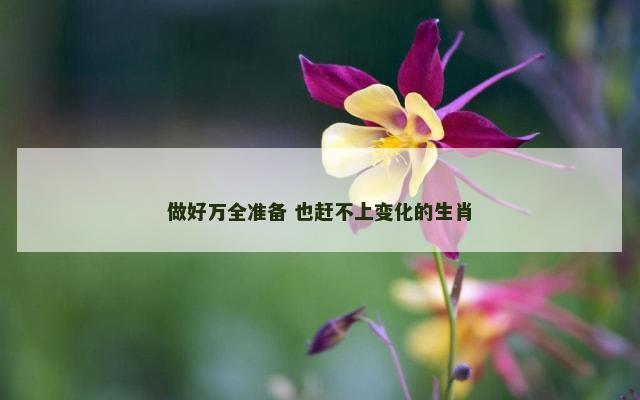 做好万全准备 也赶不上变化的生肖