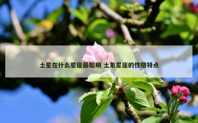 土星在什么星座最聪明 土象星座的性格特点