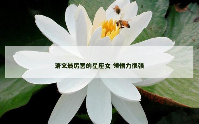 语文最厉害的星座女 领悟力很强