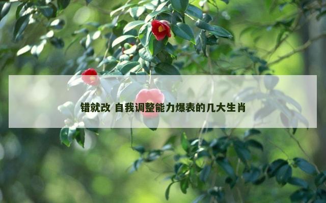 错就改 自我调整能力爆表的几大生肖