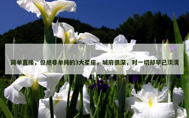 简单直接，但绝非单纯的3大星座，城府很深，对一切却早已淡漠