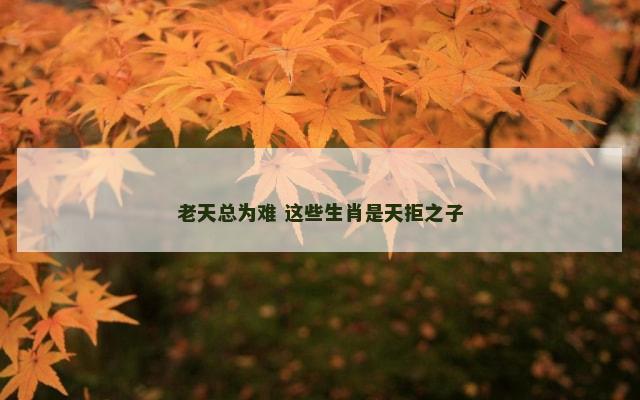 老天总为难 这些生肖是天拒之子