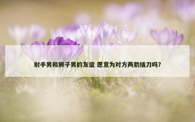射手男和狮子男的友谊 愿意为对方两肋插刀吗？