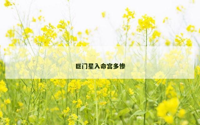 巨门星入命宫多惨