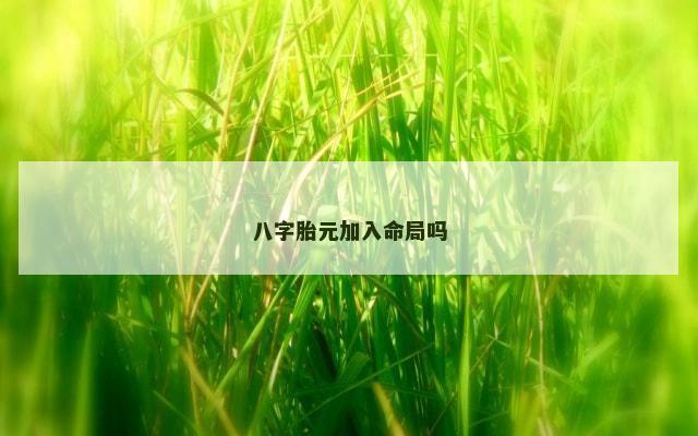 八字胎元加入命局吗