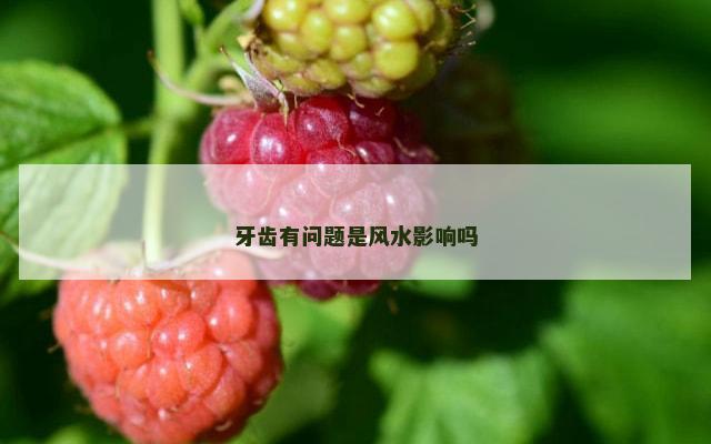 牙齿有问题是风水影响吗