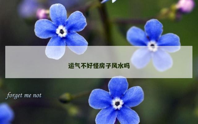 运气不好怪房子风水吗