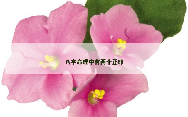 八字命理中有两个正印