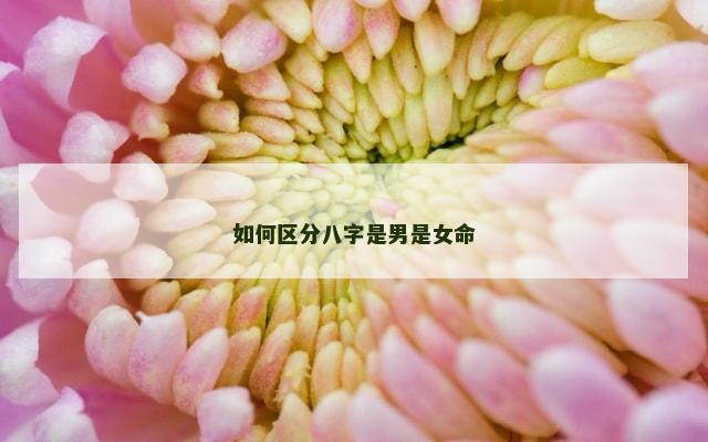 如何区分八字是男是女命