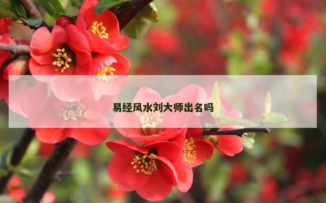 易经风水刘大师出名吗