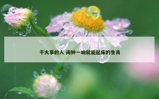 干大事的人 闹钟一响就能起床的生肖