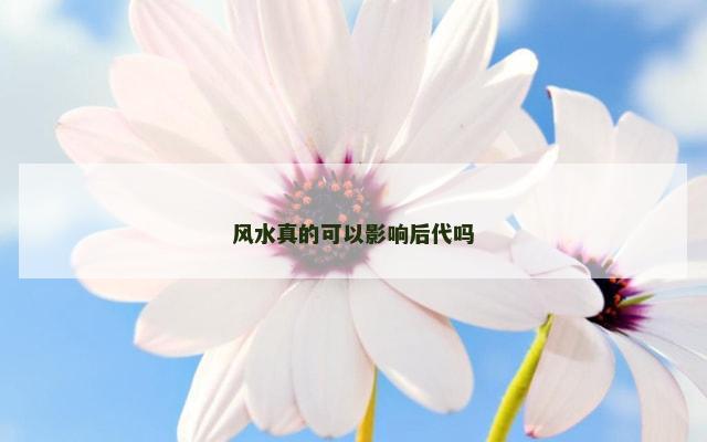 风水真的可以影响后代吗