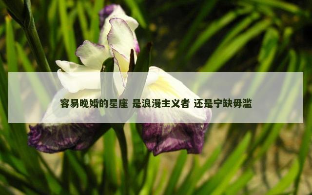 容易晚婚的星座 是浪漫主义者 还是宁缺毋滥