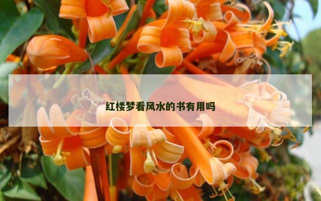 红楼梦看风水的书有用吗