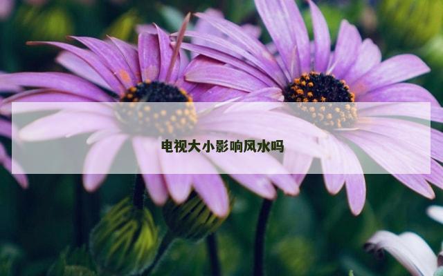电视大小影响风水吗