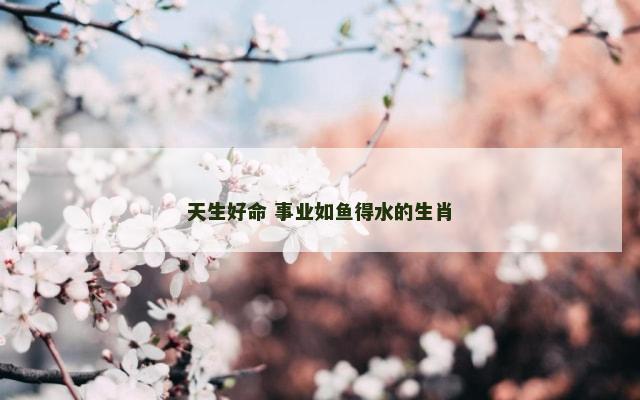天生好命 事业如鱼得水的生肖