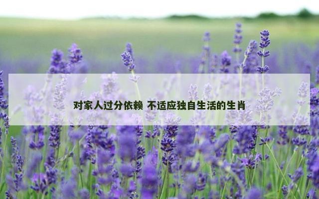 对家人过分依赖 不适应独自生活的生肖