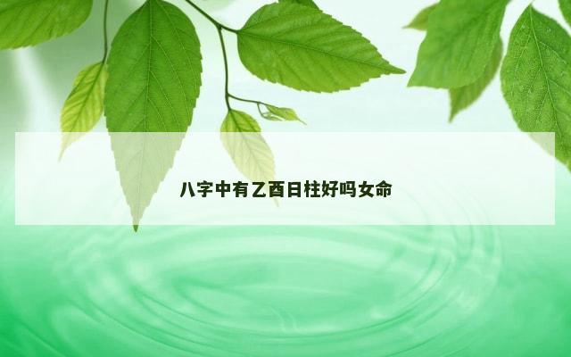 八字中有乙酉日柱好吗女命