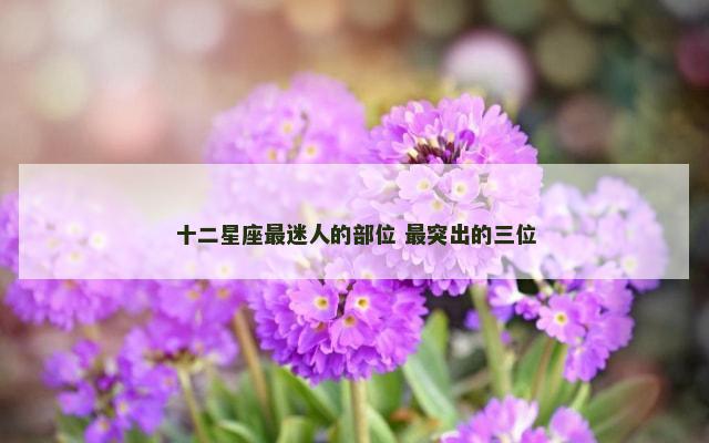 十二星座最迷人的部位 最突出的三位