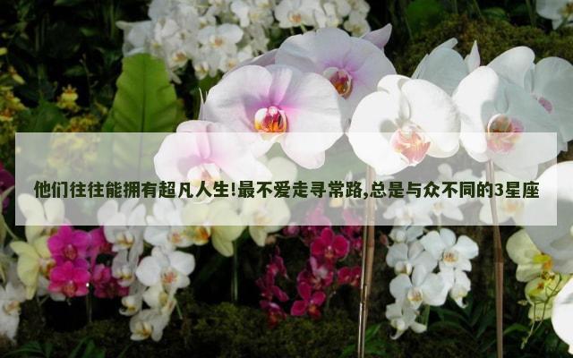 他们往往能拥有超凡人生!最不爱走寻常路,总是与众不同的3星座